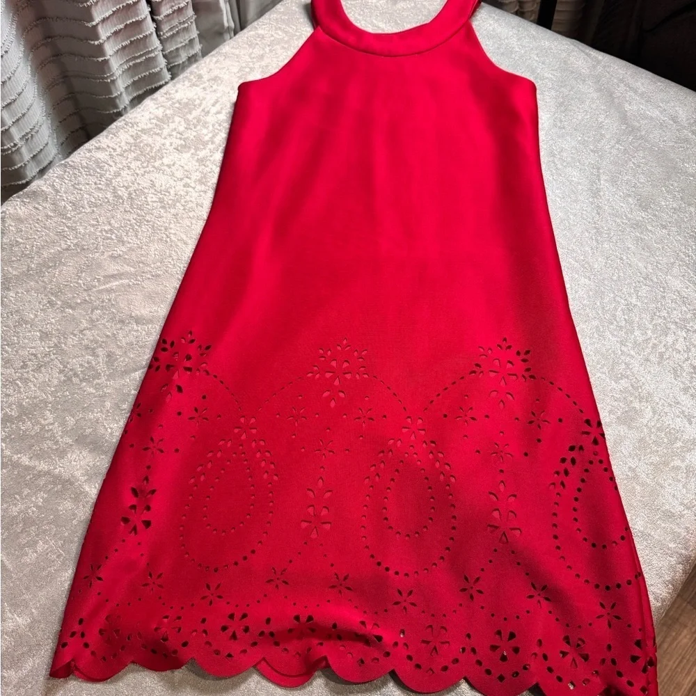 Xtraordinary Scarlet Dress with Glittering Silver Trim